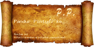 Pandur Pintyőke névjegykártya